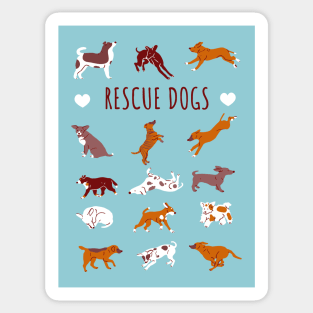 Rescue Dog Sticker